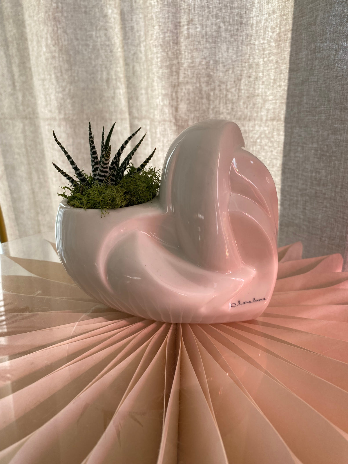 Vaso Decorativo Design Moderno con Pianta grassa – Bomboniera