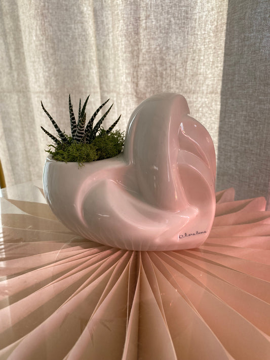 Vaso Decorativo Design Moderno con Pianta grassa – Bomboniera
