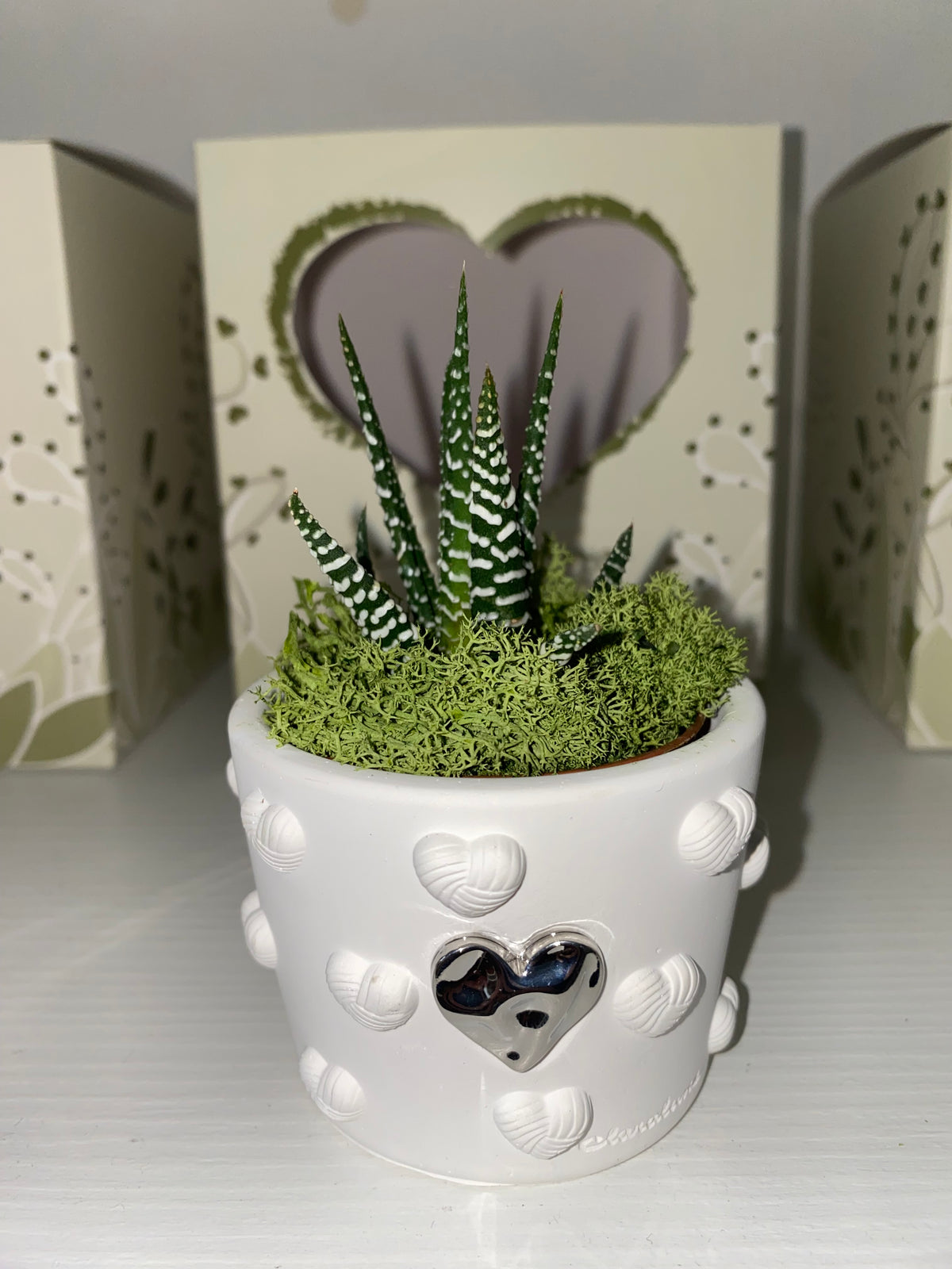 Pianta Grassa con Vaso Cuore – Bomboniera