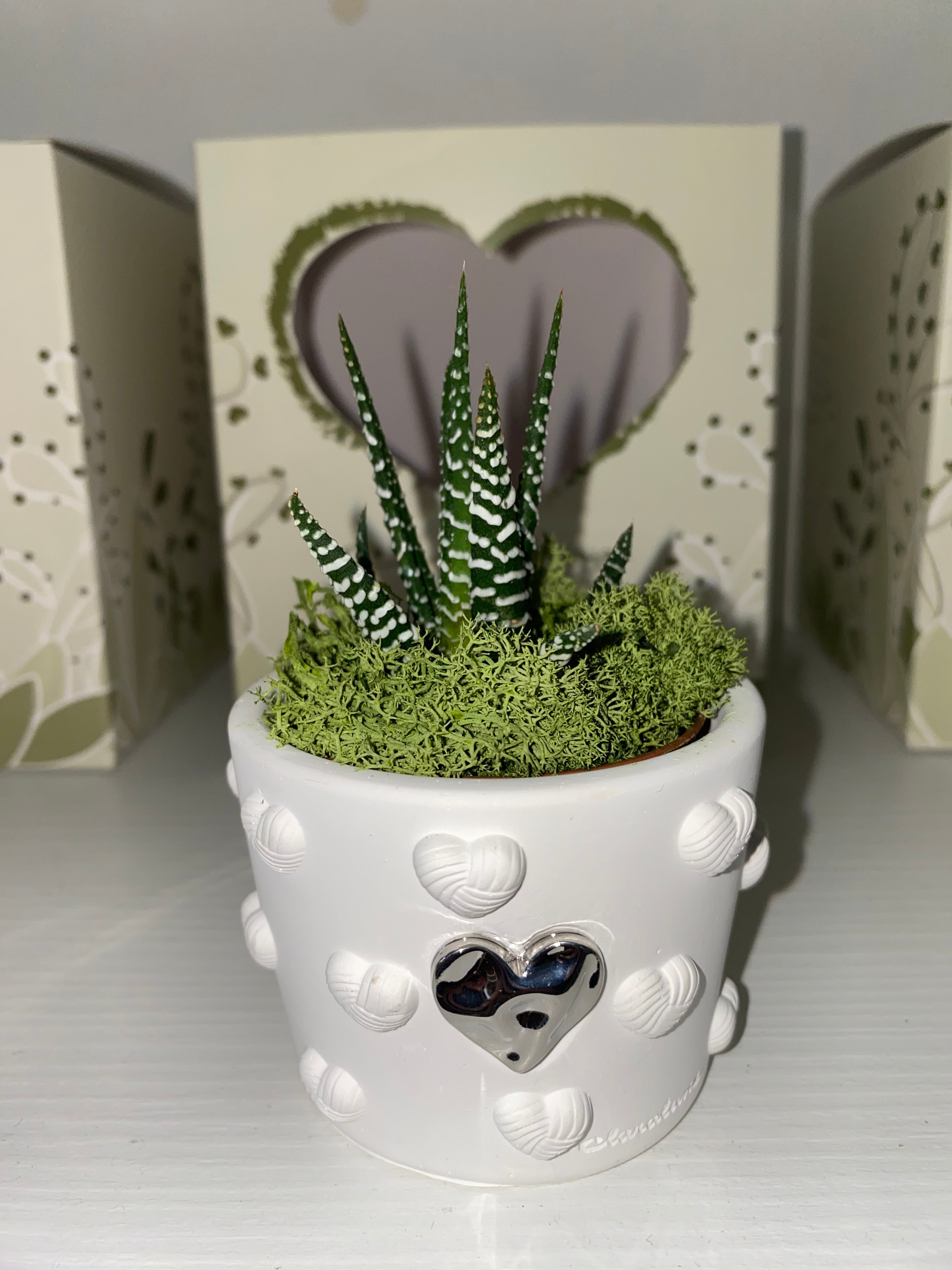 Pianta Grassa con Vaso Cuore – Bomboniera