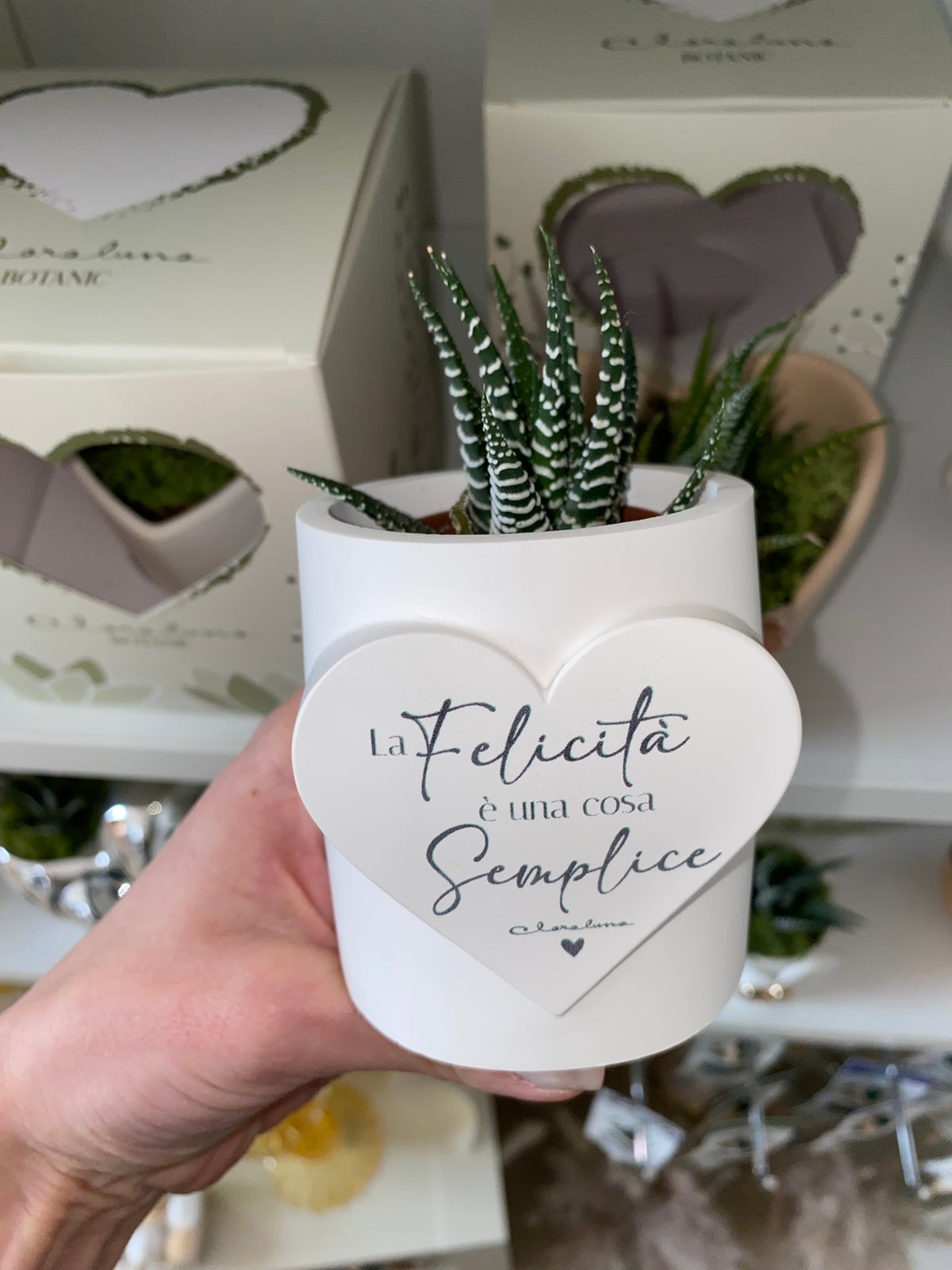 Pianta Grassa con Vaso Cuore “La Felicità è una cosa semplice” – Bomboniera