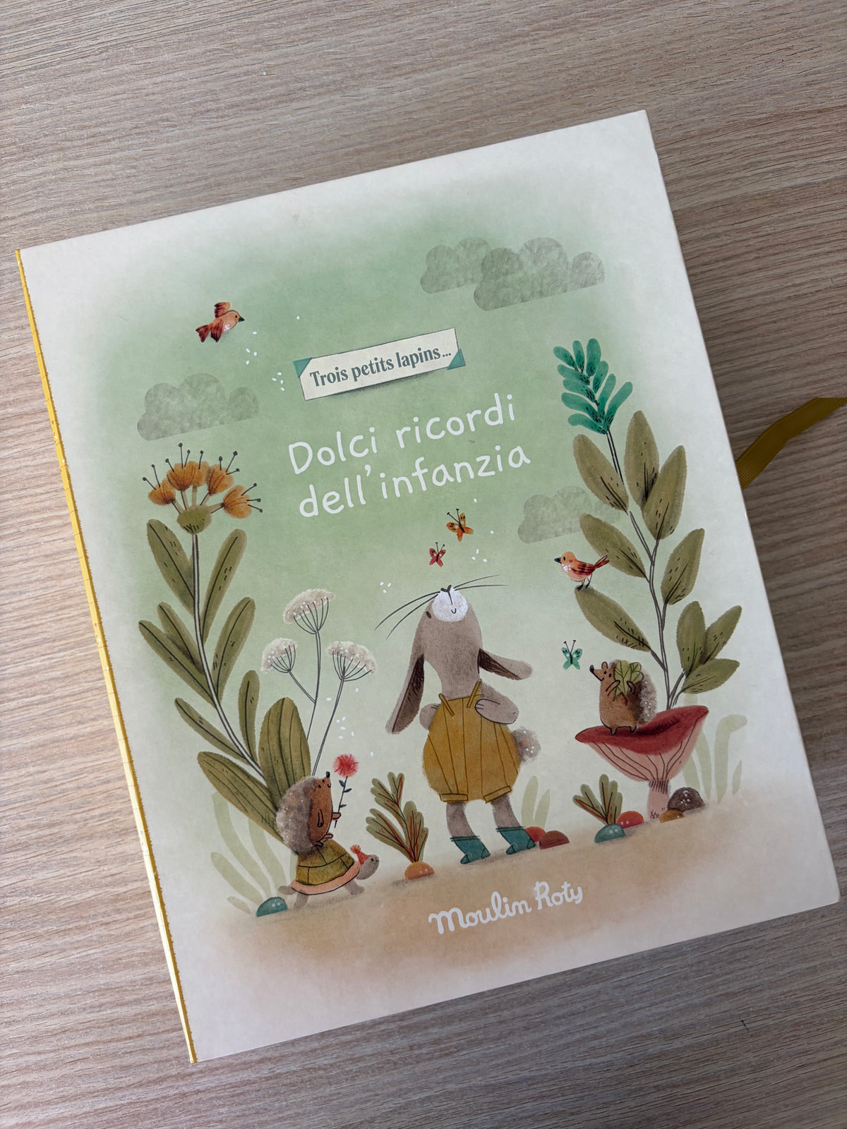 LIBRO PORTA RICORDI