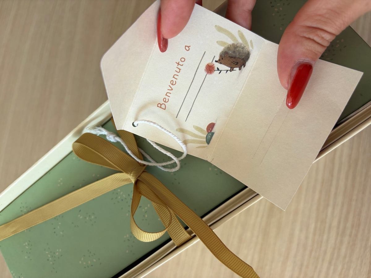 LIBRO PORTA RICORDI