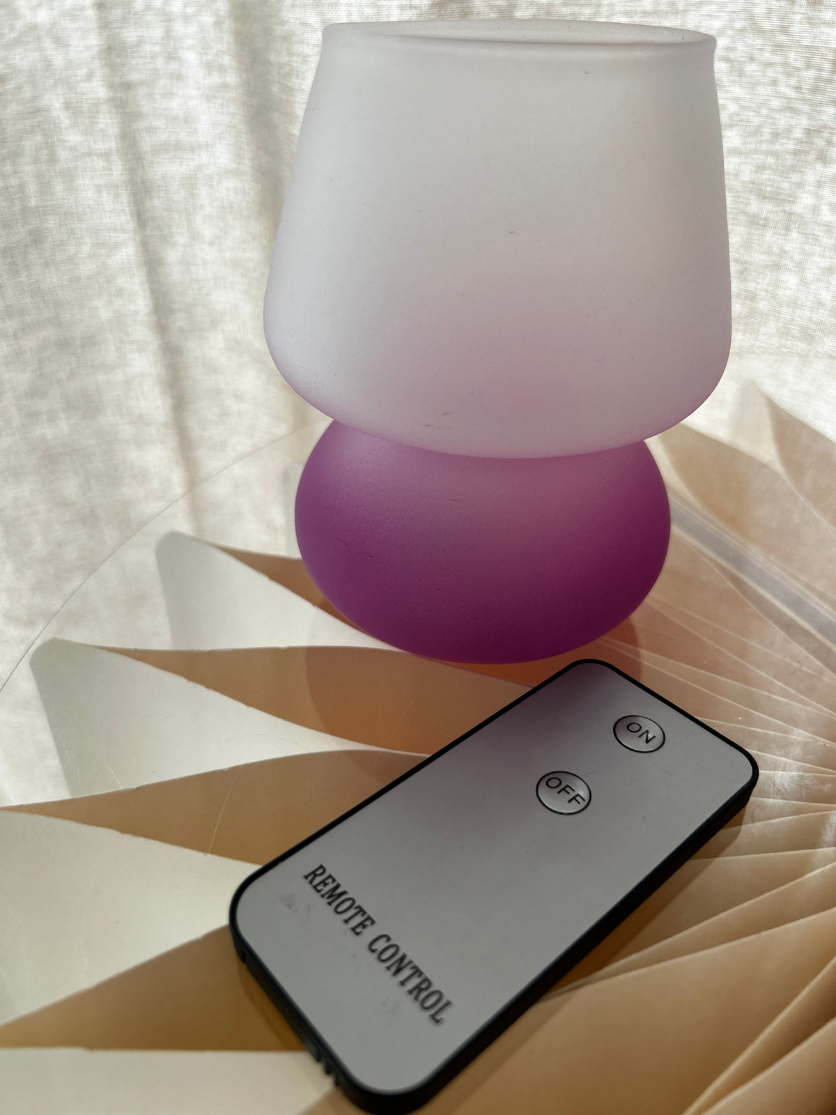Lampada LED da Tavolo a Batterie con Telecomando – Luce Soffusa Design Moderno Bicolore