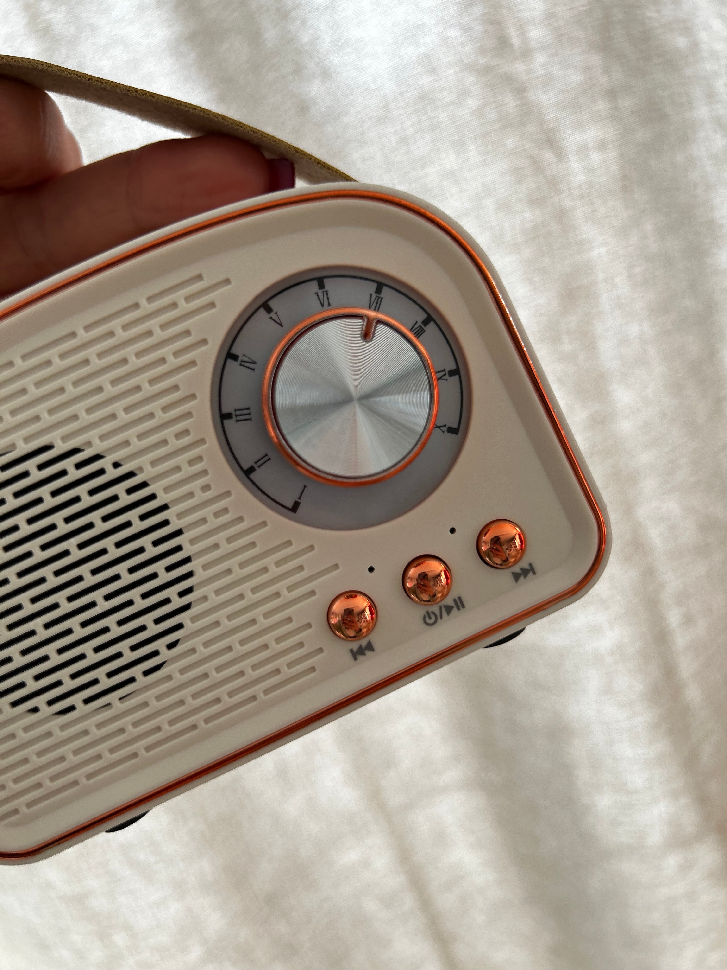 Cassa Bluetooth Portatile Vintage – Ricaricabile USB-C, Radio e Speaker Design Retrò